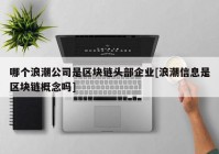 哪个浪潮公司是区块链头部企业[浪潮信息是区块链概念吗]